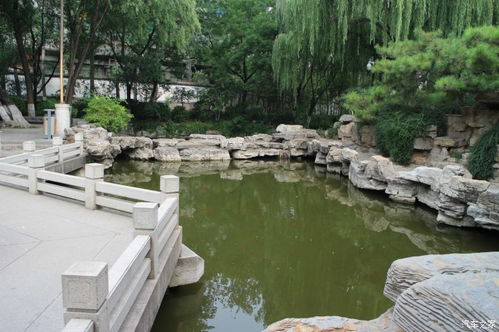 濟(jì)寧CS75銀自精遺珠游覽 天下第一泉趵突泉景區(qū)的靜謐之美與景區(qū)管理的思辨