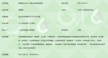 上海頂網移動網絡信息技術服務 數字化浪潮中的技術先鋒